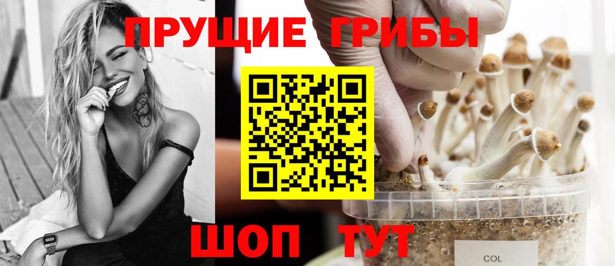 Псилоцибиновые грибы мицелий Нальчик